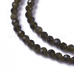 Chapelets de perles en obsidienne dorée naturelle&nbsp;G-F596-17-2mm