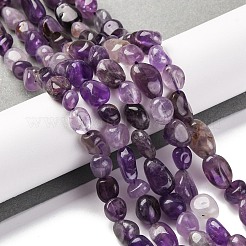 Natürlichen Amethyst Perlen Stränge&nbsp;G-G146-A09-01