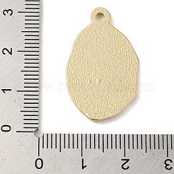 Zink-Legierung Emaille-Anhänger&nbsp;LS-ENAM-Z013-01C-01