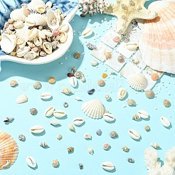 Kit di decorazioni fai da te per espositori di conchiglie&nbsp;DIY-YW0017-04