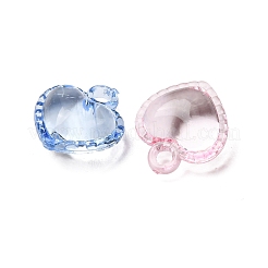 Pendentifs en acrylique transparent &nbsp;AC-CBA53C6-04