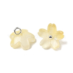 Glas Anhänger / charms&nbsp;GLAA-G127-05D