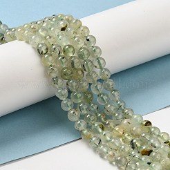 Chapelets de perles en préhnite naturelle&nbsp;LS-G-S333-6mm-032