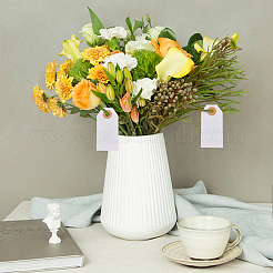 100 stücke papier blanko geschenk anhänger&nbsp;ODIS-WH0020-94