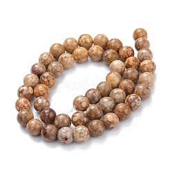 Fili di perline di pietra naturale di maifanite / maifan&nbsp;X-G-P451-01A-C