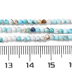 Natürliche Howlith Perlen Stränge&nbsp;G-C025-02A-07