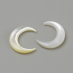 Natürliche weiße Muschel Perlmutt Muschel Cabochons&nbsp;X-SHEL-S267-04B