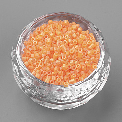 Backfarbe Glas Signalhorn Perlen&nbsp;SEED-R042-09