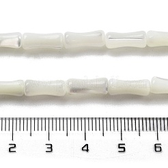 Natürliche Trochidschale / Trochusschalenperlenstränge&nbsp;BSHE-G038-03