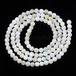 Eau douce naturelle de coquillage perles brins&nbsp;X-BSHE-T009A-01A