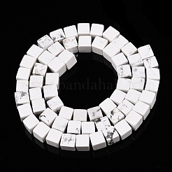Natürliche Howlith Perlen Stränge&nbsp;G-T139-6x6-02A