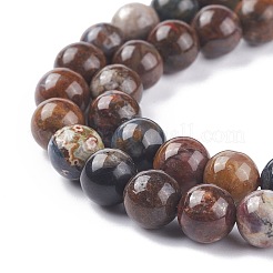 Natürliche pietersite stränge&nbsp;G-O183-06A