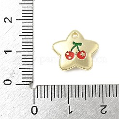 Charms del esmalte de la aleación&nbsp;PALLOY-F316-05G