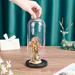 Couvercle de dôme en verre&nbsp;AJEW-WH0314-453A