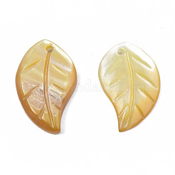 Ciondoli di conchiglia gialla naturale&nbsp;SSHEL-S258-100B