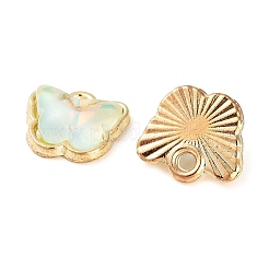 Rack-Plating-Legierungsglas-Charms&nbsp;FIND-Q099-07G-05