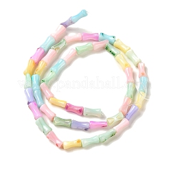 Regenbogenfarben gefärbte Stränge natürlicher Süßwassermuschelperlen&nbsp;SHEL-G018-02C