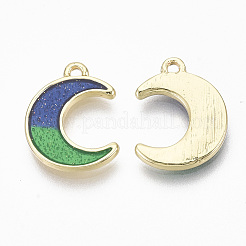 Legierung Emaille Anhänger / charms&nbsp;LS-ENAM-S122-027-NR
