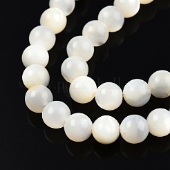 Natürliche weiße Muschelperlenstränge&nbsp;SSHEL-N003-144E-01