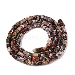 Chapelets de perles de jaspe en peau de léopard naturel&nbsp;GG-N002-01A-12
