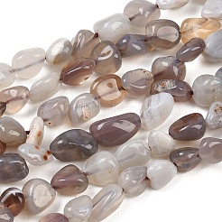 Natur Botswana Achat Nuggets Perlen Stränge&nbsp;G-B170-A01