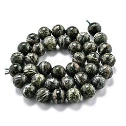 Natürliche grüne Zebra Jaspis Perlenstränge&nbsp;G-O199-05C