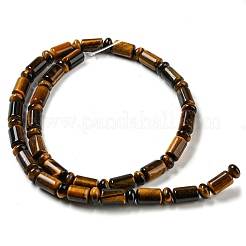 Natürlichen Tigerauge Perlen Stränge&nbsp;G-M420-C02-02