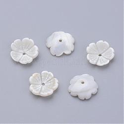 Shell perle naturali di acqua dolce, fiore, bianco crema, 12x12.5x3mm, Foro: 1 mm