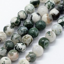 Chapelets de perles en agate d'arbre naturelle, ronde, 10mm, Trou: 1.2mm, Environ 37 pcs/chapelet, 14.76 pouce (37.5 cm)