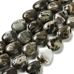 Fili di perle di diaspro pietra naturale ricchezza, lacrima, 17.5~18x13x6mm, Foro: 1.2 mm, circa 22pcs/filo, 15.24 pollice (38.7 cm)