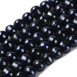 Fili di perle di perle d'acqua dolce coltivate naturali, patata, grado 2a+, tinto, nero, 7~8x6.5~7mm, Foro: 0.6 mm, circa 55pcs/filo, 14.17'' (36 cm)