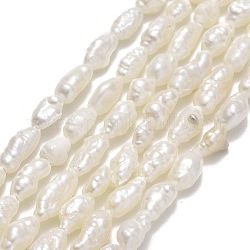 Natural Cultured Freshwater Pearl Beads Strands, Keshi Pearl Beads, Nuggets, Linen, 4~5.5x3~3.5mm, Hole: 0.5mm, about 58~60pcs/strand, 13.78''(35cm)