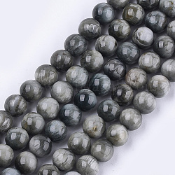 Fili di perle di occhio di falco naturale, pietra occhio d'aquila, grade ab +, tondo, 10mm, Foro: 1 mm, circa 38~39pcs/filo, 15.3 pollice