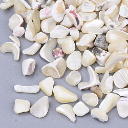Perles en coquille de mer, perles non percées / sans trou, puce, couleur de coquillage, 2~13x2~7x1~7mm