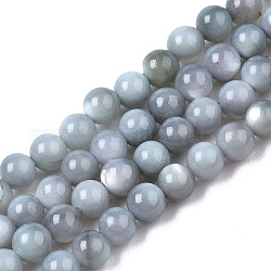 Eau douce naturelle de coquillage perles brins, teinte, ronde, gainsboro, 2.5~3.5mm, Trou: 0.5~0.6mm, Environ 122~136 pcs/chapelet, 14.57 pouce ~ 15.63 pouces (37 cm ~ 39.7 cm)