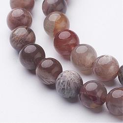 Natural Black Sunstone Bead Strands, Round, 7.9~8.5mm, Hole: 1mm, about 46~48pcs/strand, 14.9 inch(380mm)