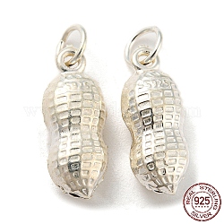 925 Sterling Silver Pendants, Peanut Charms, Silver, 17.5x7.5x6mm, Hole: 4mm