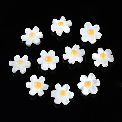 Cuentas de concha natural de blanco, flor, 10x9x4mm, agujero: 0.8 mm