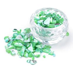 Perles de coquille naturels, sans trou, teinte, puce, vert clair, 2~15x2~10x1~5mm