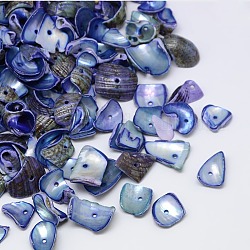 Perline a conchiglia a spirale naturale tinta, schegge di shell, blu royal, 10~20x6~15mm, Foro: 1 mm, circa 70pcs/50g