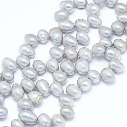 Fili di perle di perle d'acqua dolce coltivate naturali, patata, Alice Blue, 7~11x7~8mm, Foro: 0.8 mm, circa 59pcs/filo, 14.7 pollice (36 cm)