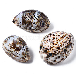 Perle di conchiglia naturale stampate, Senza Buco, pesce, tan, 57~72x37~52x31~38mm