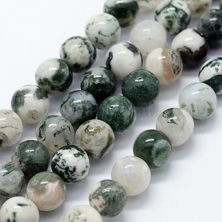 Chapelets de perles en agate d'arbre naturelle G-I199-03-10mm-1