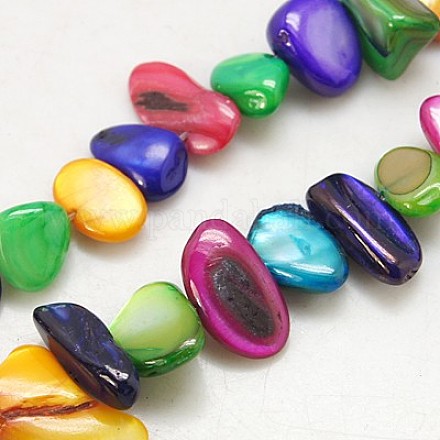 Natural Freshwater Shell Beads Strands X-S23YB011-1