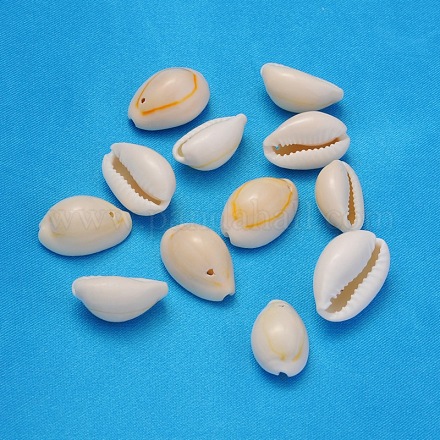 Natural Cowrie Shell Beads BSHE-S056-1