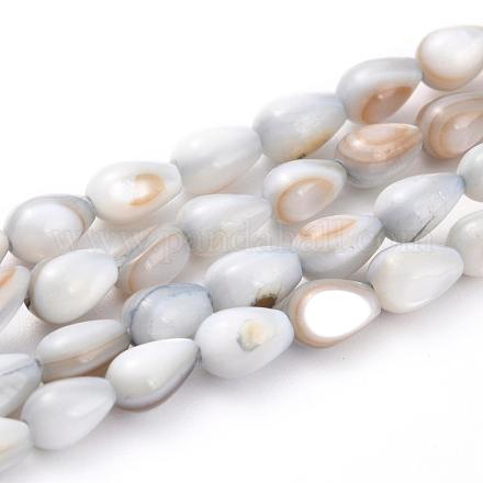 Hebras de perlas shell naturales BSHE-P013-09-1