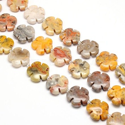 Natural Flower Rainbow Crazy Agate Beads Strands G-L241A-10B-1