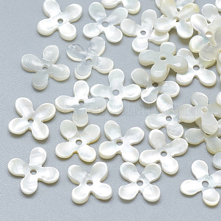 Natural White Shell Beads SSHEL-S260-056A-01-1