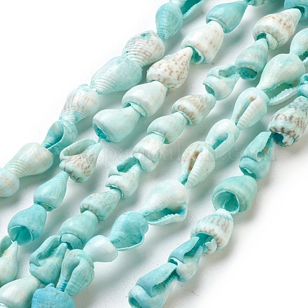 Chapelets de perles de coquille en spirale BSHE-L037-09-1
