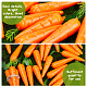 Mini espuma imitacion zanahorias DJEW-WH0038-32-5